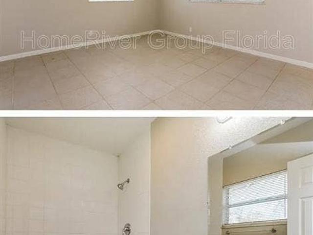 Room for rent in Temple Terrace, Florida