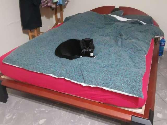 Pokój do wynajęcia w Antoninek-zieliniec-kobylepole, Poznań