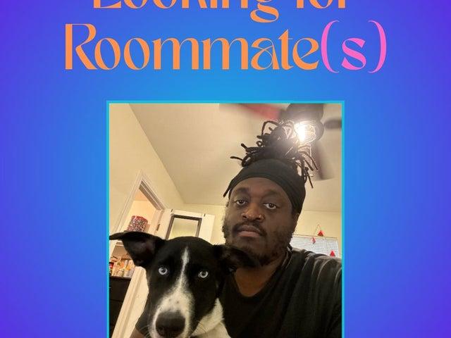 Room for rent in Austin, Texas