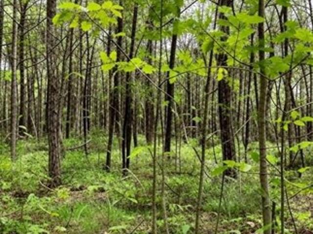 Land for sale in Missouri