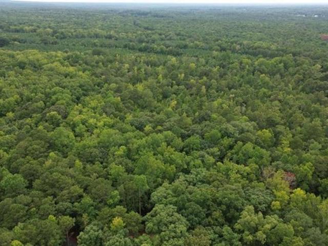 Land for sale in Warm Springs, Georgia