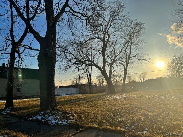 Land for sale in Detroit