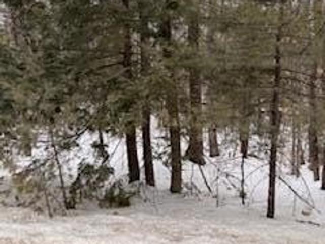 Land for sale in Naples, Maine
