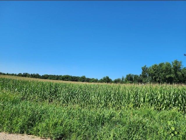 Land for sale in Constantine, Michigan