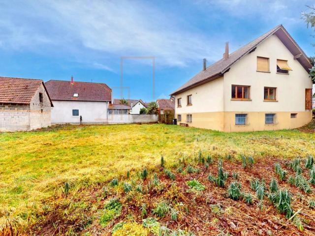 Maison vente à Roppenheim, Collectivité européenne d'Alsace