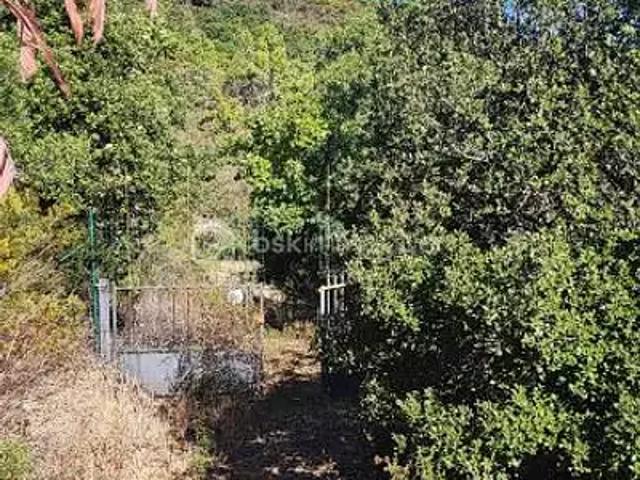 Terrain vente à Arrondissement de Draguignan, Roquebrune-sur-argens