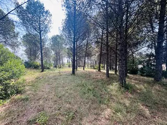 Terrain vente à Arrondissement de Draguignan, Roquebrune-sur-argens