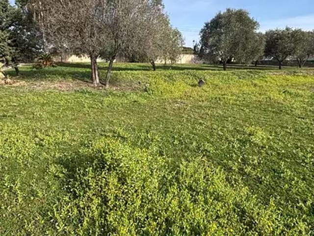 Terrain vente à Arrondissement de Draguignan, Roquebrune-sur-argens