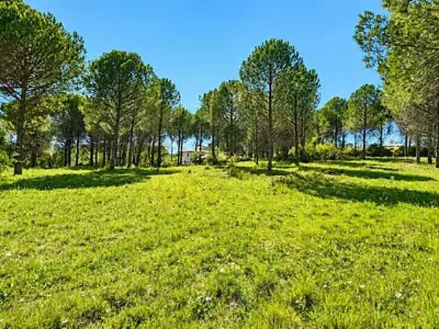 Terrain vente à Roquebrune-sur-Argens, Var