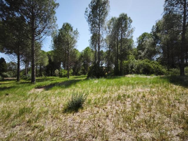 Terrain vente à Arrondissement de Draguignan, Roquebrune-sur-argens