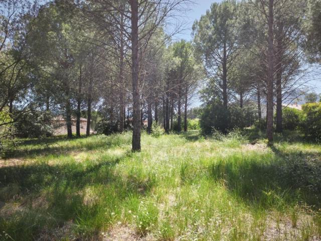 Terrain vente à Arrondissement de Draguignan, Roquebrune-sur-argens