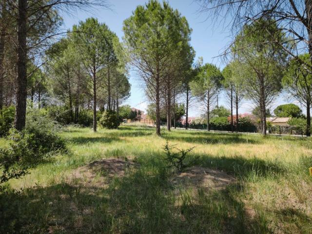Terrain vente à Arrondissement de Draguignan, Roquebrune-sur-argens