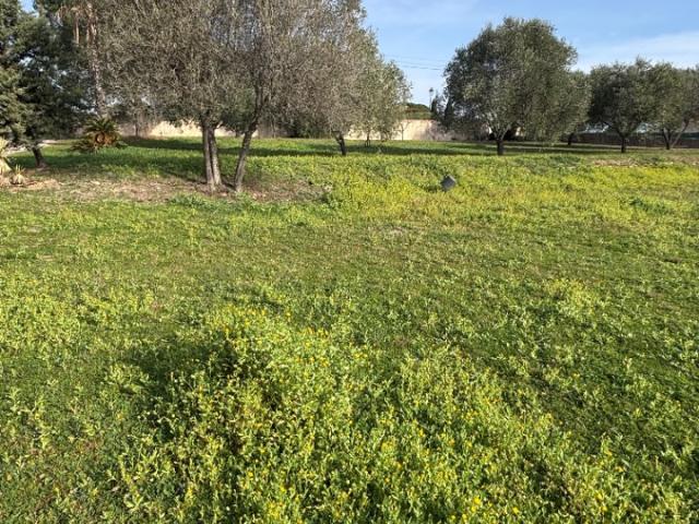 Terrain vente à Arrondissement de Draguignan, Roquebrune-sur-argens