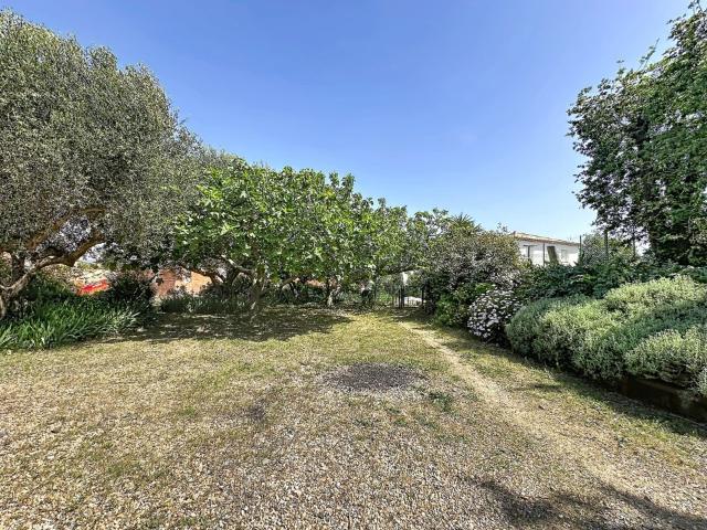 Terrain vente à Arrondissement de Draguignan, Roquebrune-sur-argens