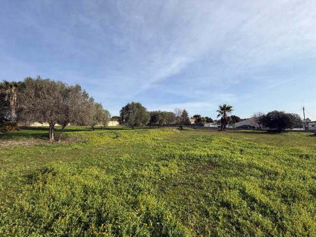 Terrain vente à Arrondissement de Draguignan, Roquebrune-sur-argens