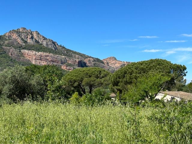 Terrain vente à Arrondissement de Draguignan, Roquebrune-sur-argens