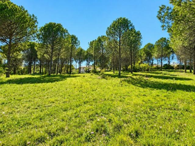 Terrain vente à Arrondissement de Draguignan, Roquebrune-sur-argens
