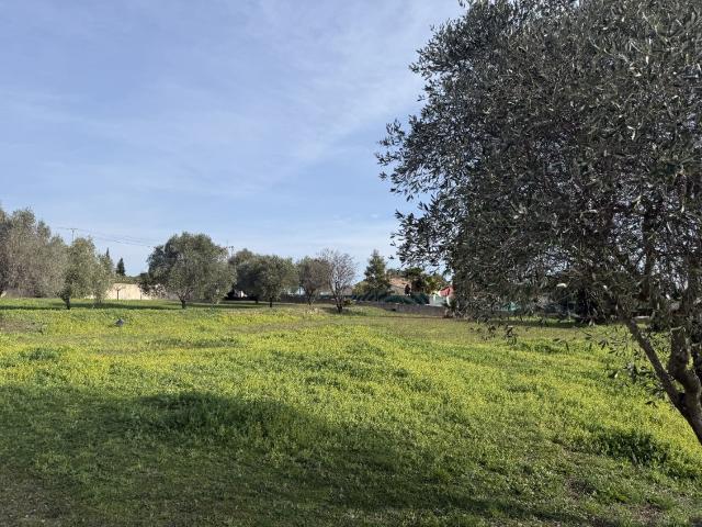 Terrain vente à Arrondissement de Draguignan, Roquebrune-sur-argens