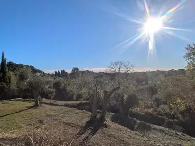 Terrain vente à Grasse, Roquefort-les-pins