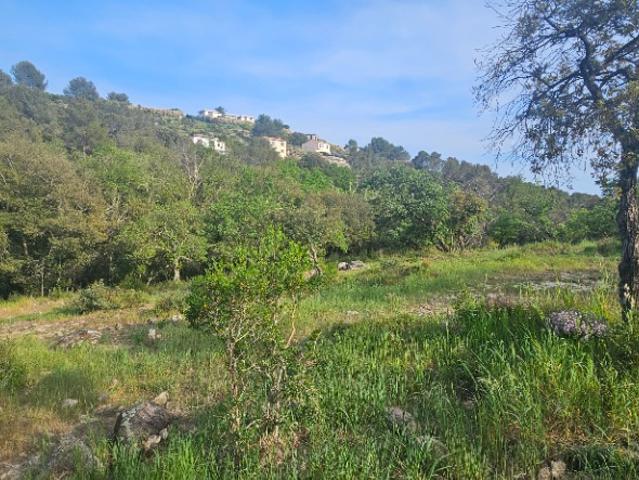 Terrain vente à Grasse, Roquefort-les-pins