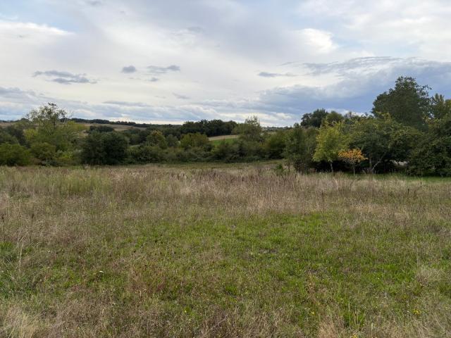 Terrain vente à Toulouse, Roquesérière