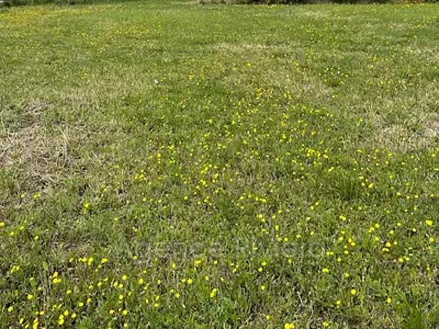 Terrain vente à France métropolitaine, Roquevaire