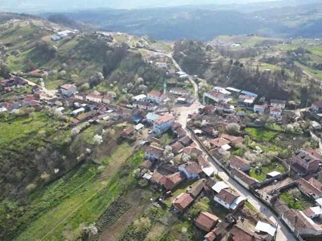 Yenişehir, Bursa içerisinde satılık Arsa