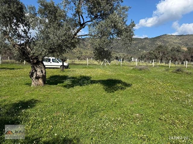 Bayindir, İzmir içerisinde satılık mülk