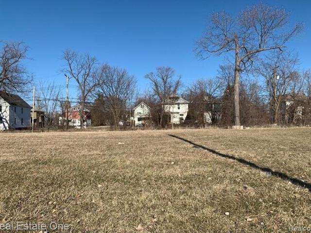 Land for sale in Detroit