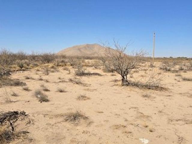 Land for sale in Luna, New Mexico