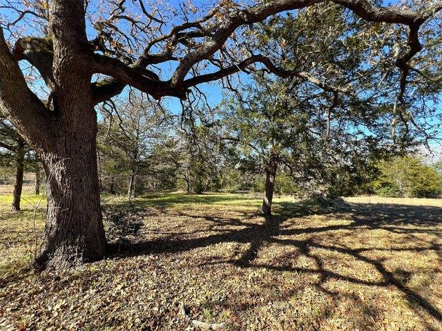 Land for sale in Rosanky, Texas