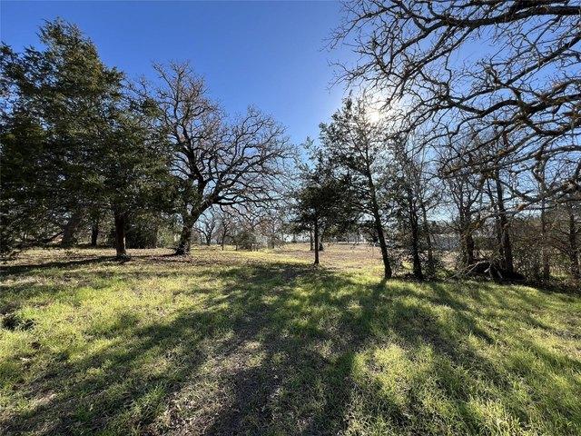 Land for sale in Rosanky, Texas