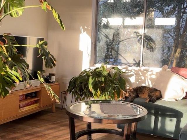 Room for rent in Sydney, New South Wales