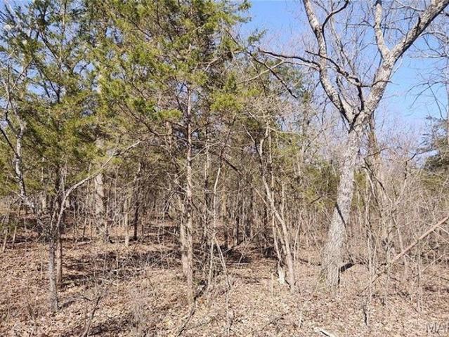 Land for sale in Bonne Terre, Saint Francois County