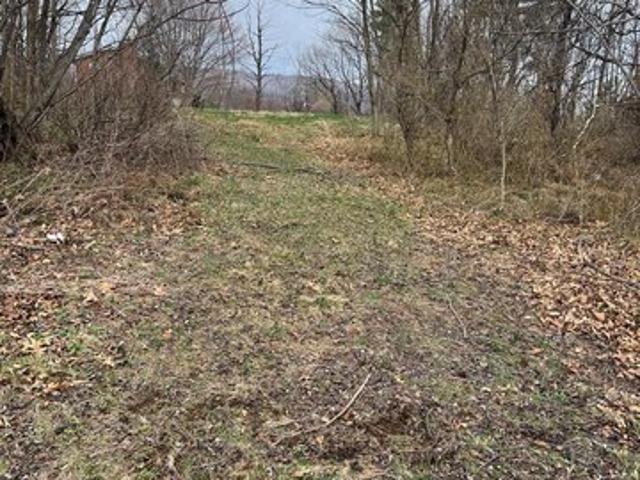 Land for sale in Rawlings, Maryland