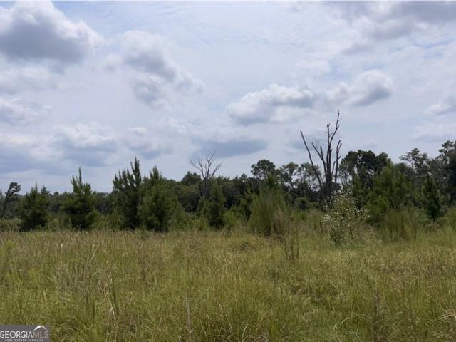 Land for sale in Lyons, Georgia