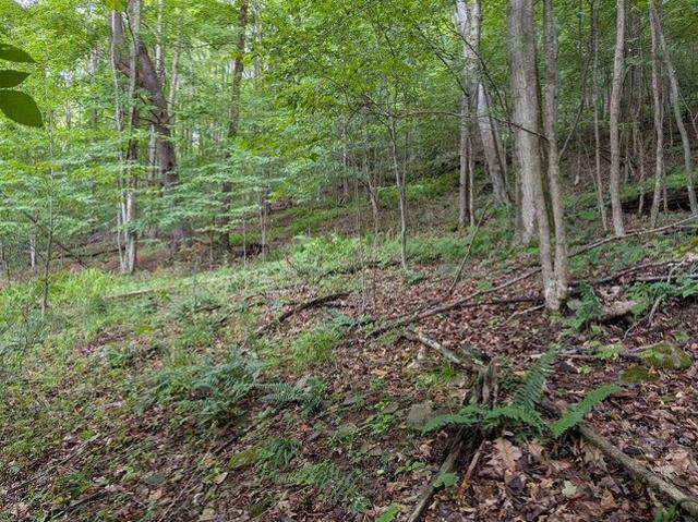 Land for sale in Coudersport, Pennsylvania