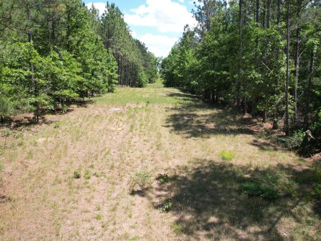 Land for sale in Dexter, Georgia