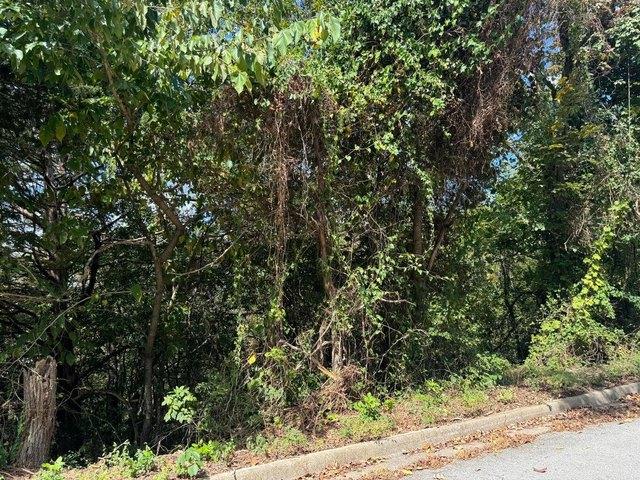 Land for sale in Branson, Missouri