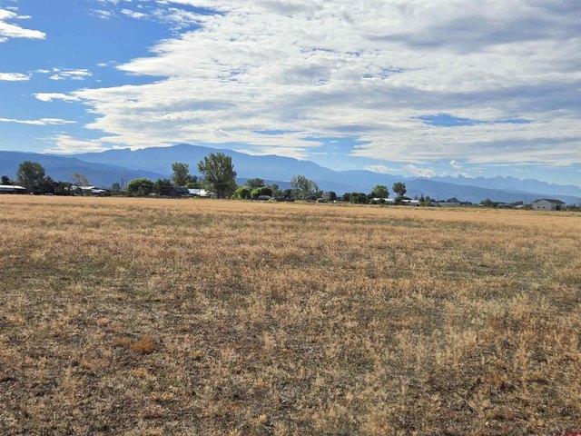 Land for sale in Montrose, Colorado