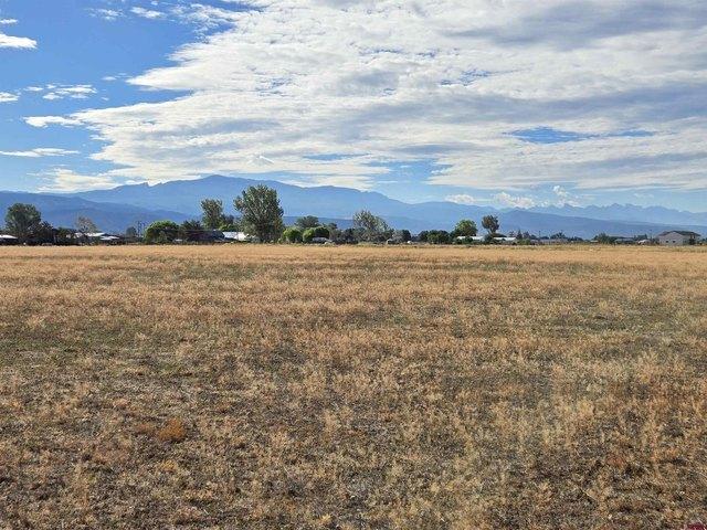 Land for sale in Montrose, Montrose County