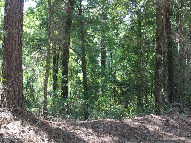 Land for sale in Rosebud, Walnut Grove