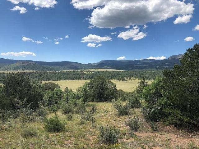 Land for sale in Canon City
