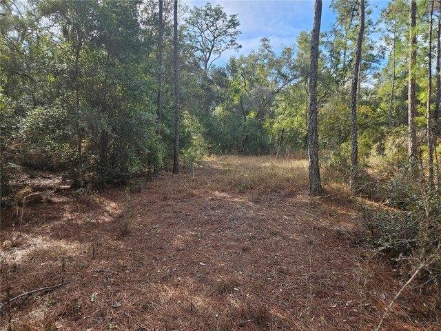 Land for sale in Webster, Florida