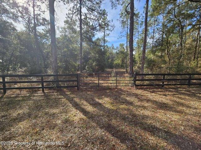 Land for sale in Webster, Florida