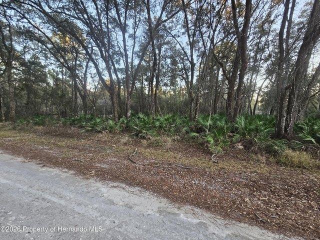 Land for sale in Webster, Florida