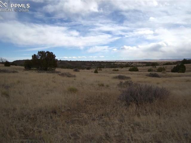 Land for sale in Rye, Colorado