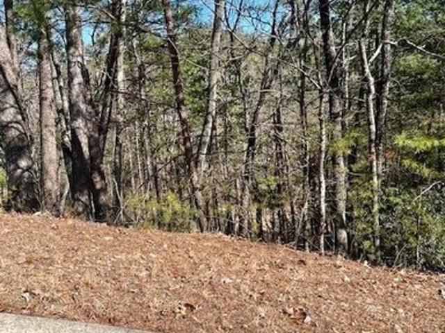 Land for sale in Helen, White County