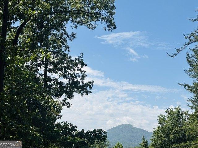 Land for sale in Helen, Georgia