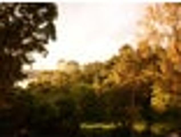Apartment for rent in Roseneath, Wellington